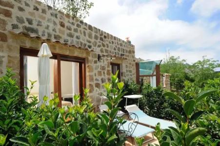 Alberi Del Paradiso - 399