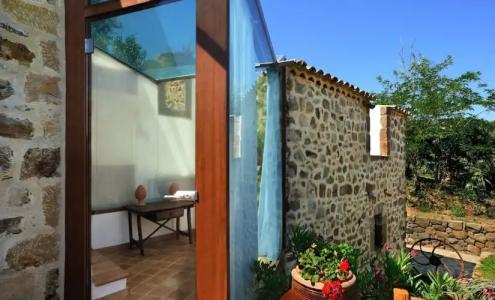 Alberi Del Paradiso - 403