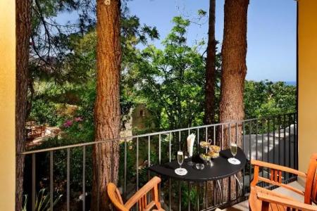 Alberi Del Paradiso - 279