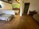 Standard Quadruple room with courtyard view