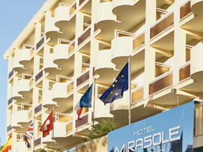Mirasole International - 41
