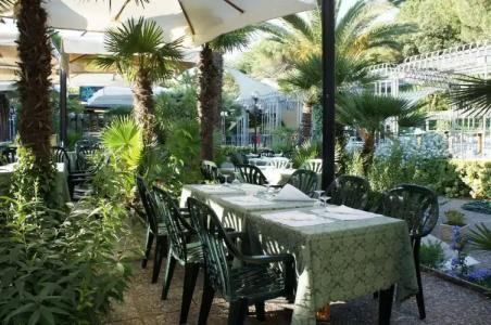 Mirasole International - 23