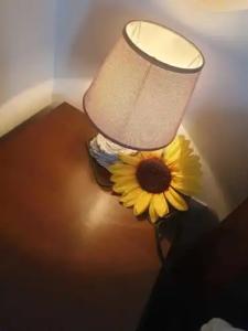 B&B Nuovo Reale - Centro Storico - 17