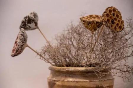 San Giorgio Matera - 123