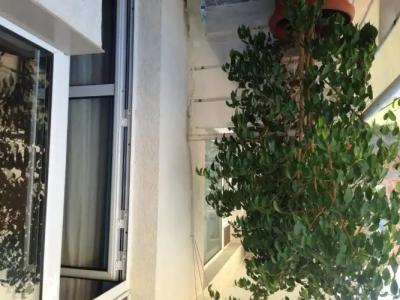 Zoya Guest House - 5