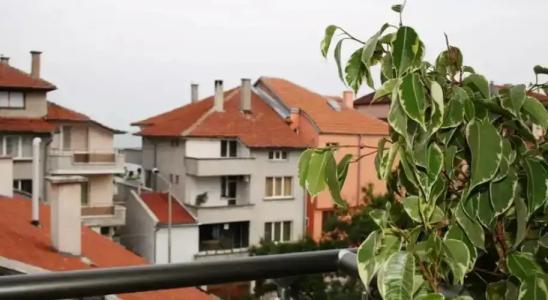 Zoya Guest House - 15