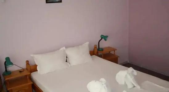 Zoya Guest House - 16