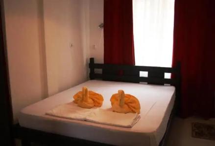 Zoya Guest House - 97