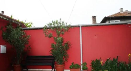 Zoya Guest House - 13