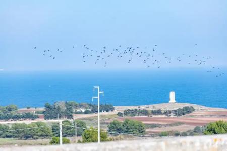 Masseria dei Monaci - 82