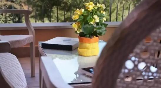 Giardino Inglese - 61