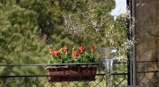 Giardino Inglese - 62