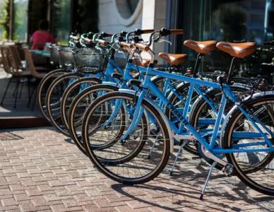 Charlie in Pesaro - 25