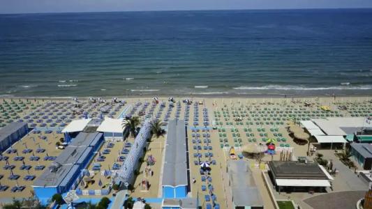 Charlie in Pesaro - 22