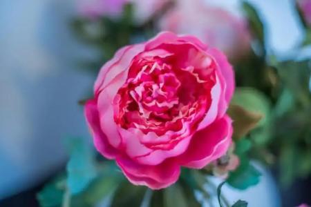 Dimora Grottone - 51