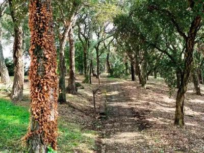 B&B Pomezia Roma - 30