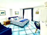 Standard Double room with balcony and with sea view