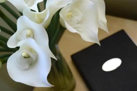 Birches Serviced Apartments - 36