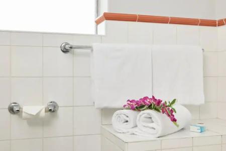 Birches Serviced Apartments - 8