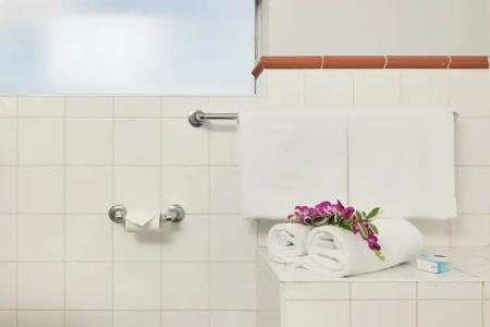 Birches Serviced Apartments - 10