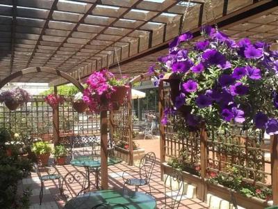 Colonne - Alihotels - 24