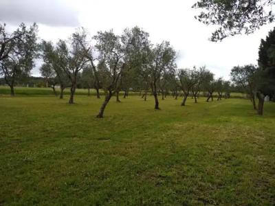 B&B Terra Serena - 20