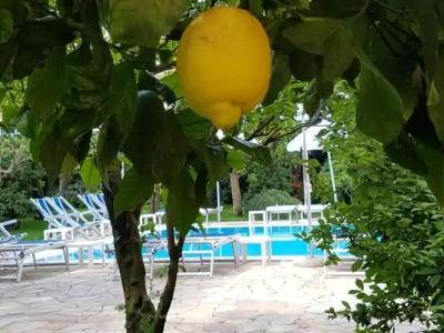 Appartamento Erica in - 21