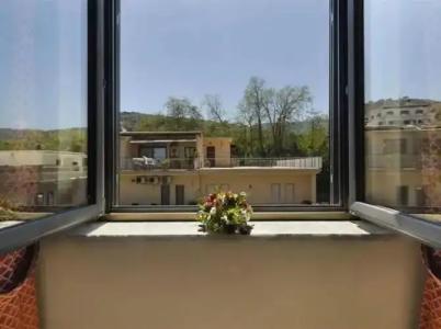 Central Wellness - 254