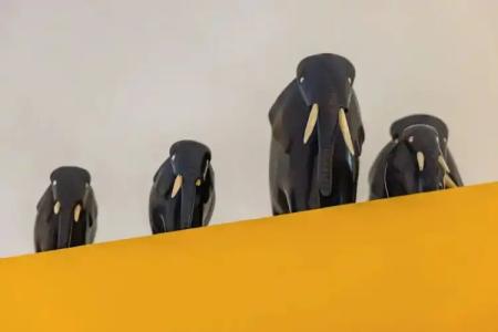 Orchid Corner Guesthouse - 63