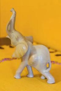 Orchid Corner Guesthouse - 61