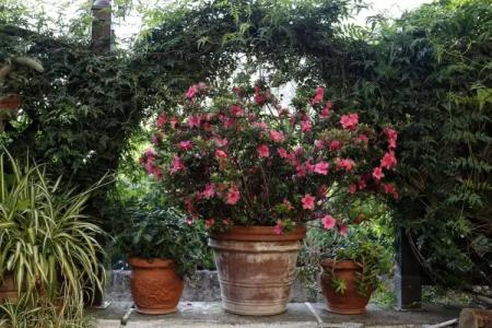 Orchid Corner Guesthouse - 17