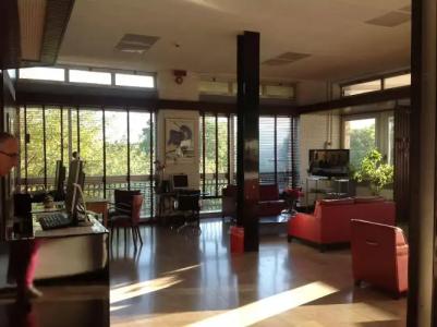 LH Arca Street Art - 25