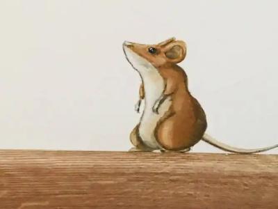 LH Arca Street Art - 43