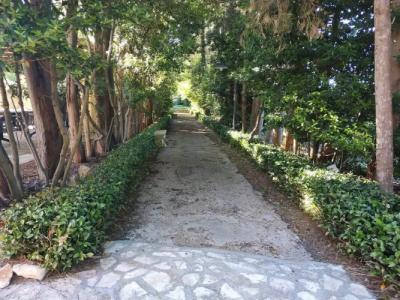 Relais Casina Copini - 20