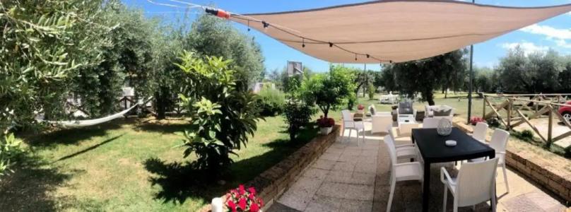 Pensione degli Ulivi - 11