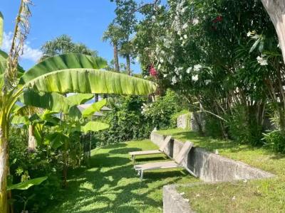 Bazzoni et du Lac - 21