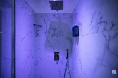 Dynasty Suites Downtown Apartments - 42