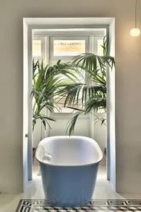 Casa Ellul - Small Luxurys of the World - 35