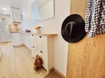 HOME APART-Vivulskis - 15