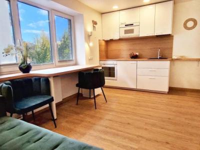 HOME APART-Vivulskis - 36