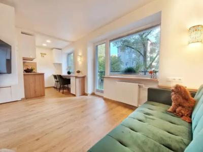 HOME APART-Vivulskis - 142