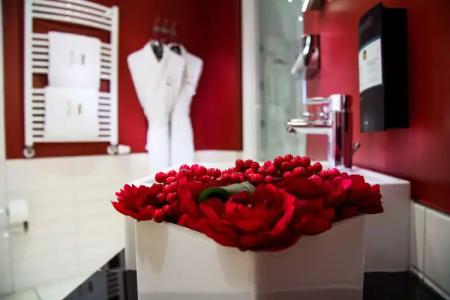 Best Western Plus Grand Victor Hugo - 77