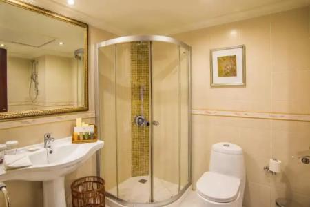 Grand Excelsior - 46