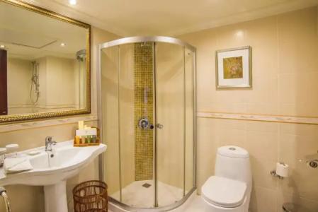 Grand Excelsior - 9