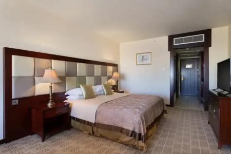 Grand Excelsior - 83