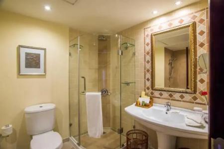 Grand Excelsior - 41