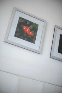 Ramla Bay Resort - 61