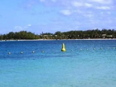 Auberge le Saladier - 10