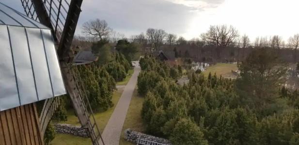 Mardi Farm Stay - 29