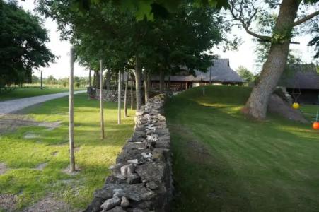 Mardi Farm Stay - 13